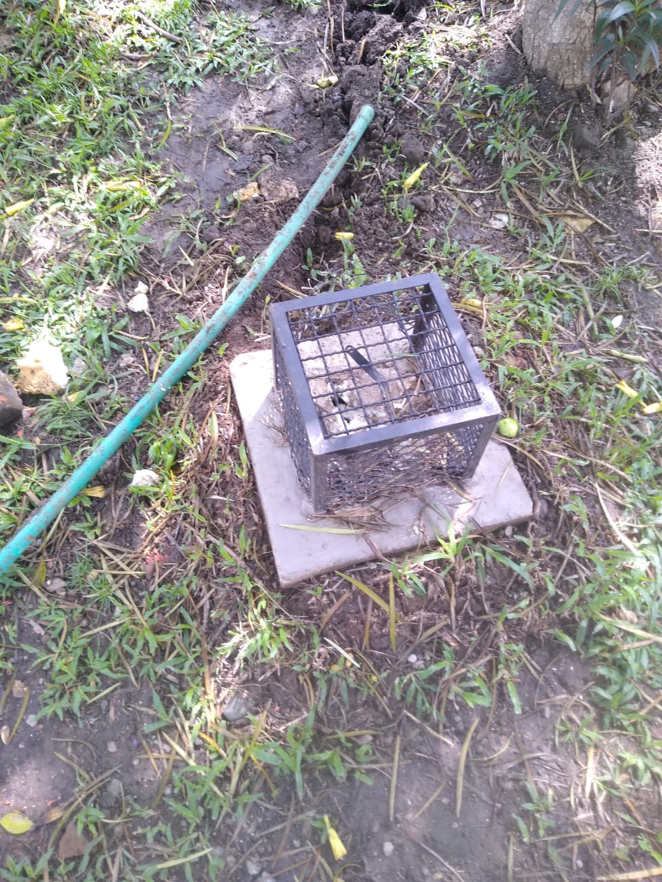 Robo en el parque de la 24