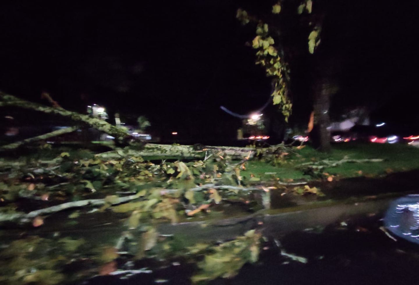 Caída árboles Cañaveral