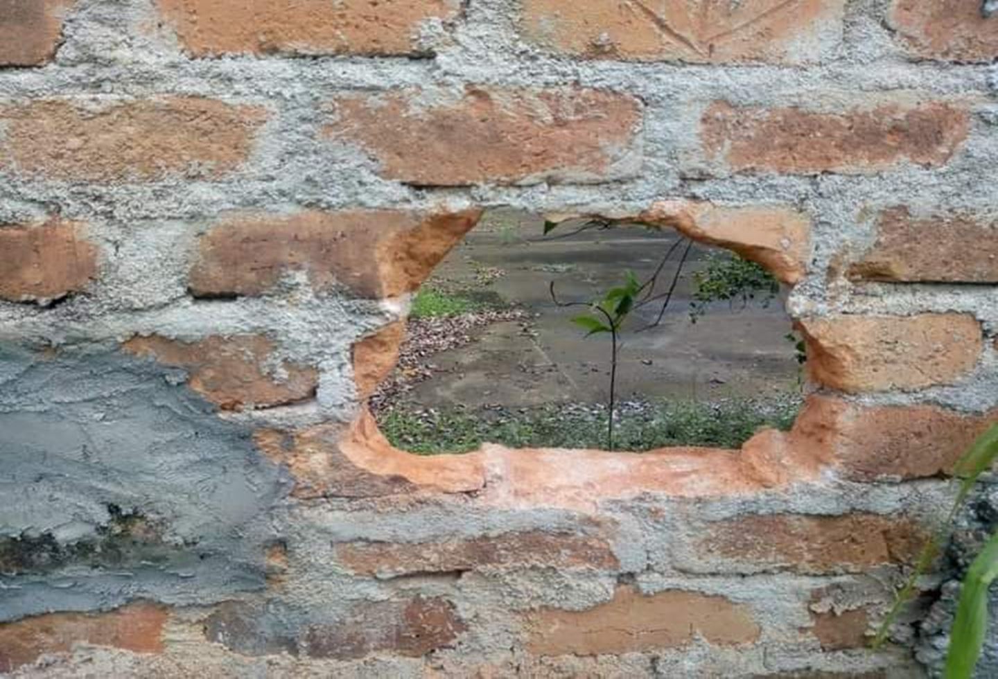 Investigan a formador tras fuga de tres internos del Politécnico Luis A. Rengifo