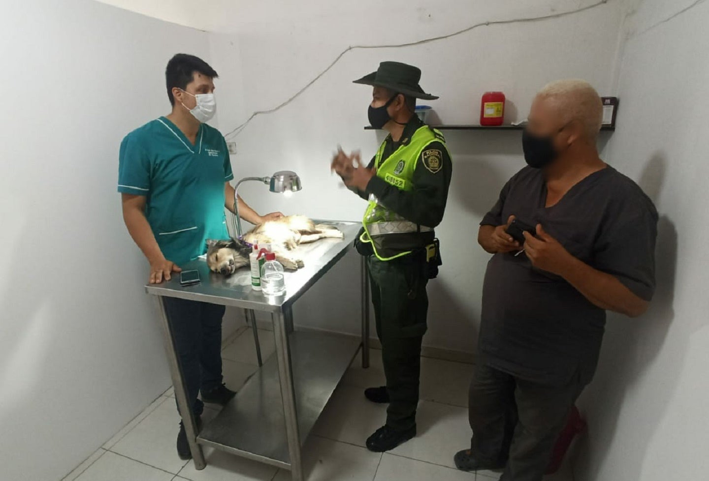 Maltrato Animal Neiva