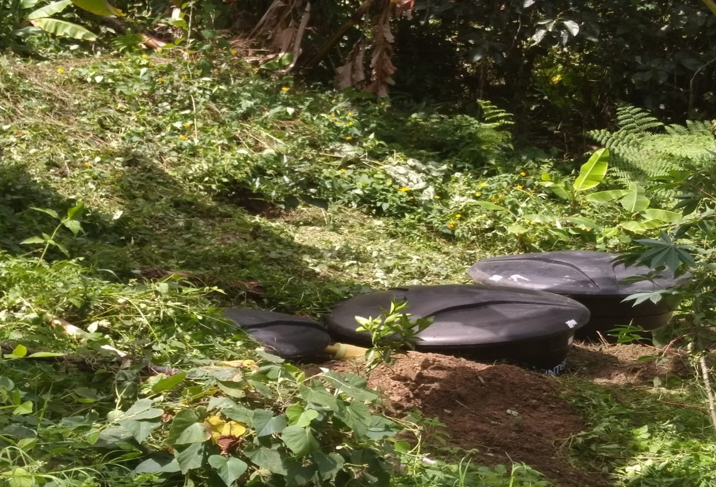 Pozo Séptoco Ibagué
