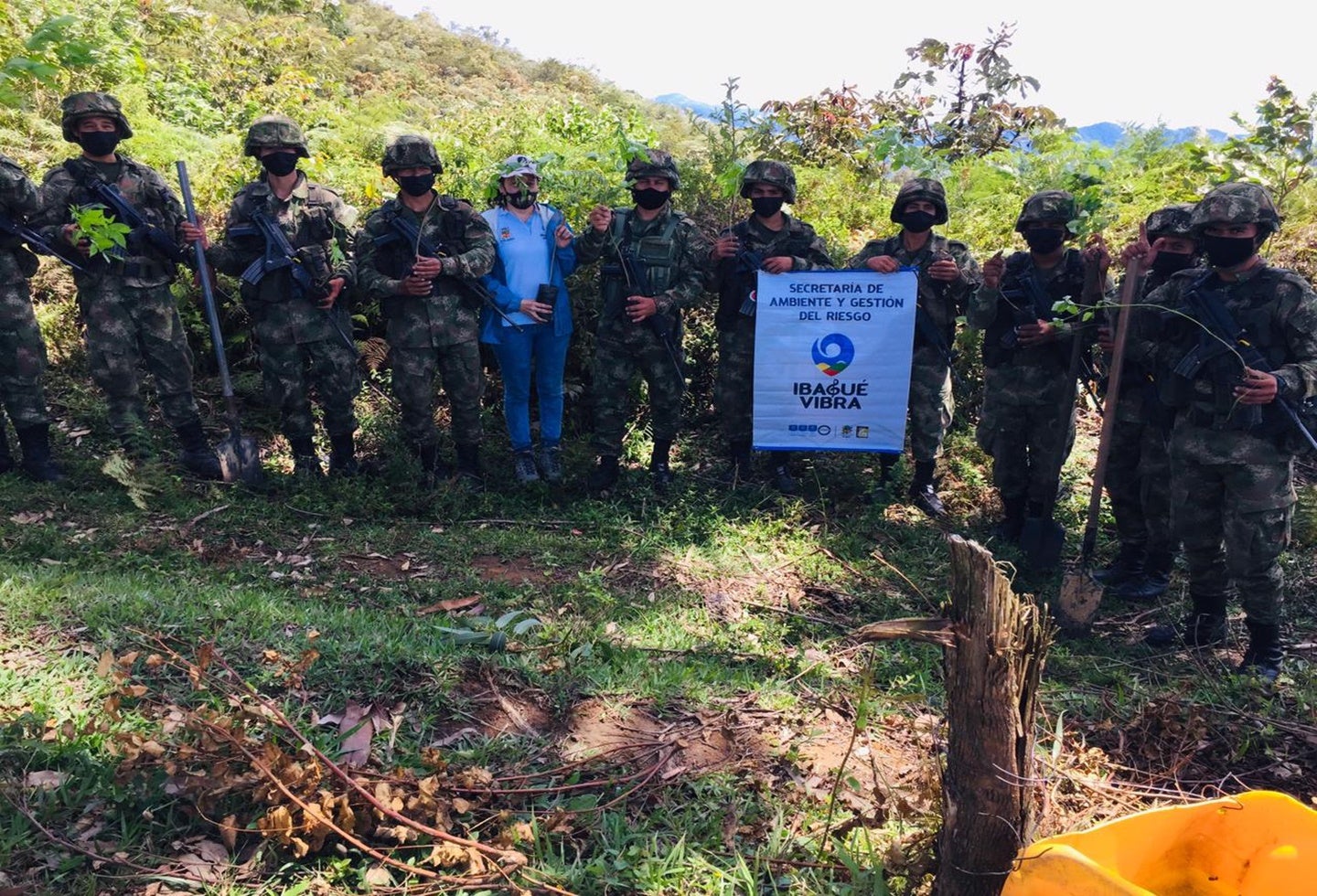 Reforestación en Ibagué