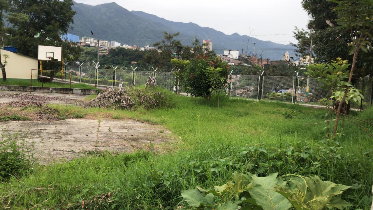 Colegio José Celestino Mutis