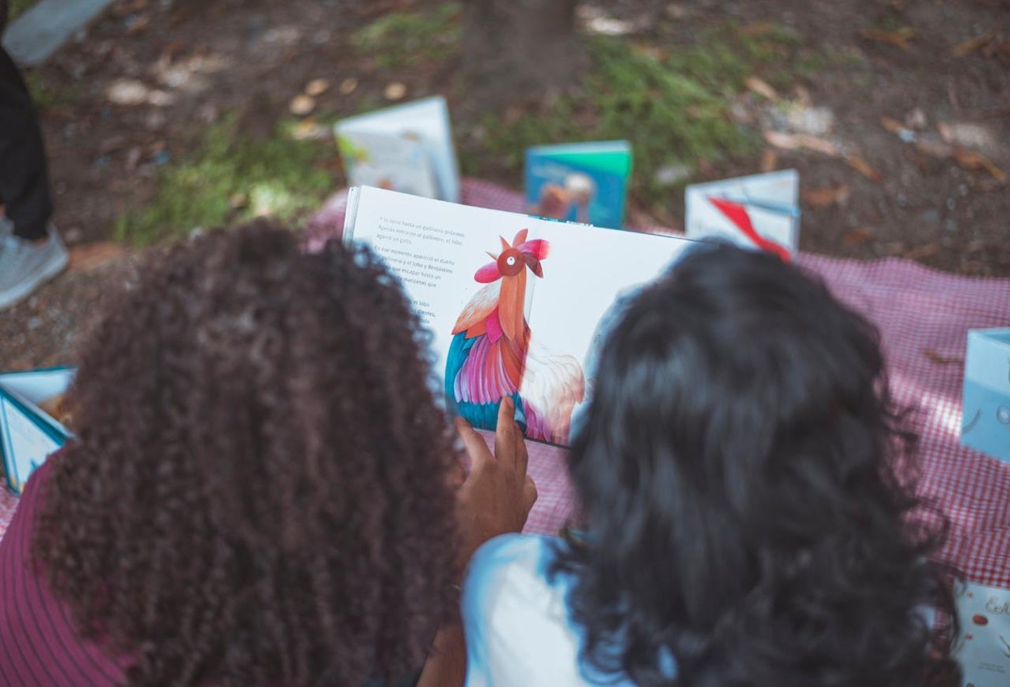 Semana de La Cultura y Seguridad Social en Ibagué