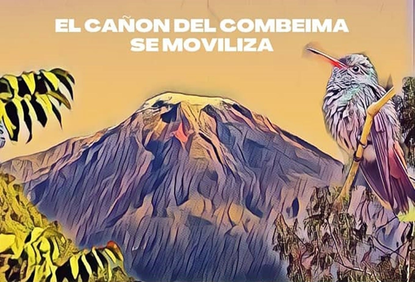 Movilización 19 de mayo del Cañón del Combeima en Ibagué