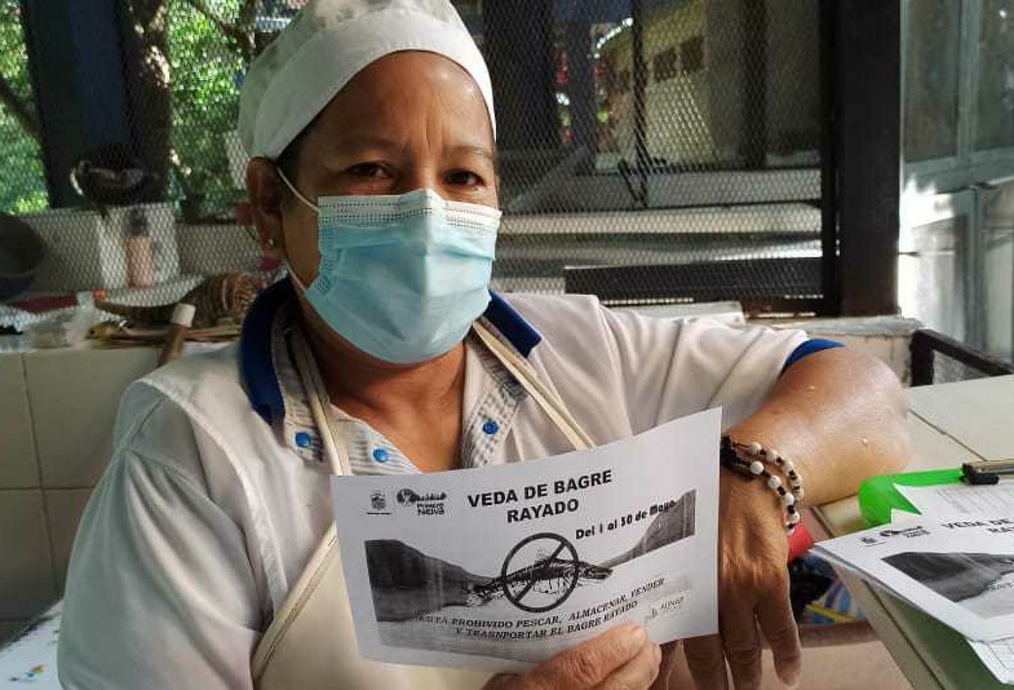 Bagre Rayado del Magdalena será protegido por la Administración Municipal