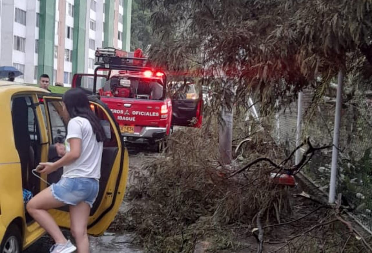 Árboles caídos por lluvias en Ibagué 2