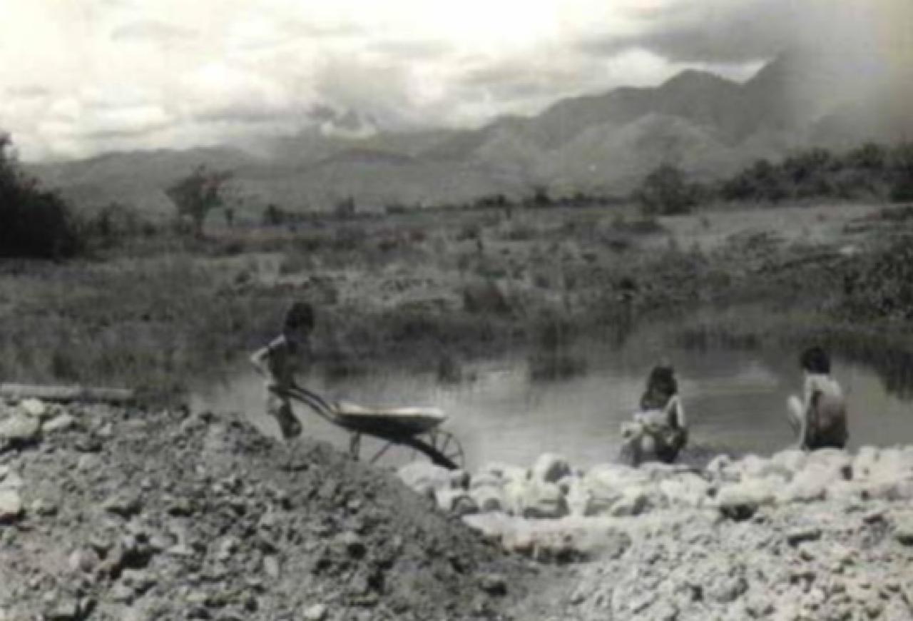 Jardín Botánico en sus inicios