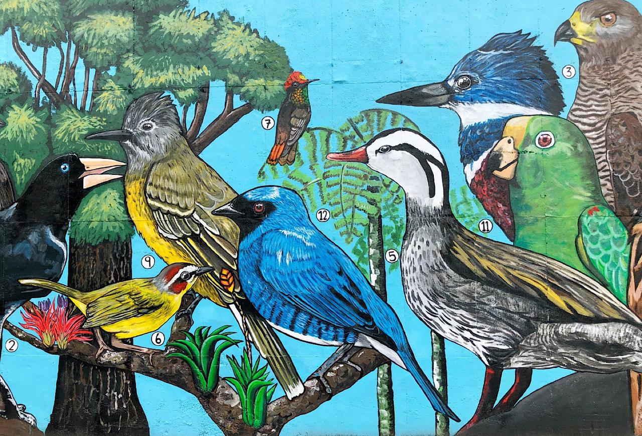 “Global Big Day”