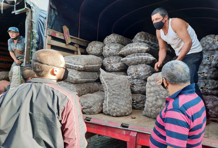 Papa en Ibagué -imagen de referencia