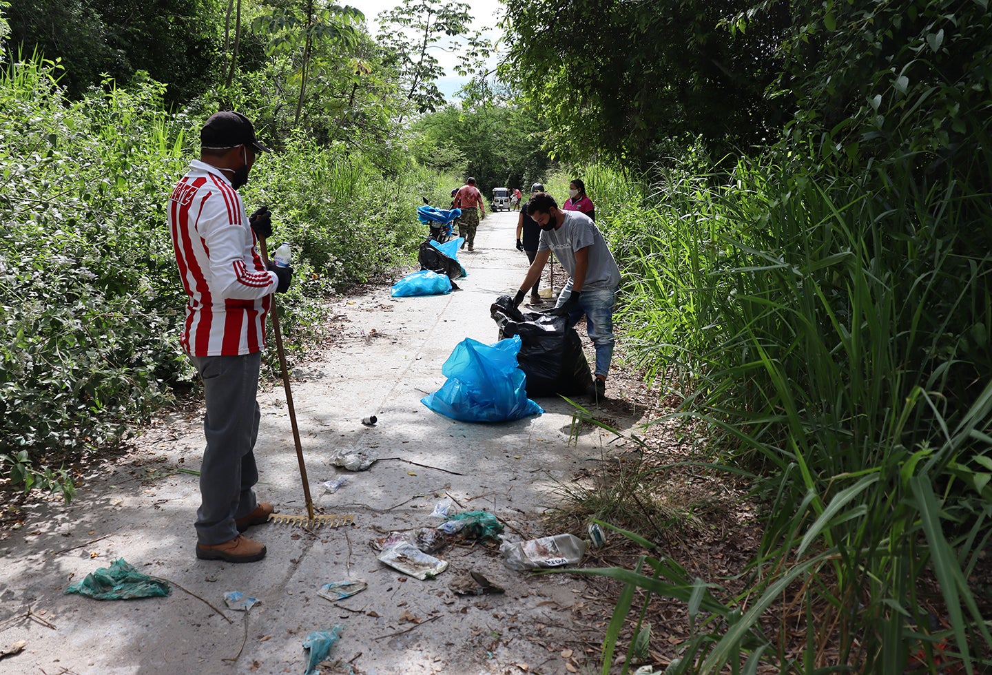 Voluntariado de limpieza y recolección de residuos
