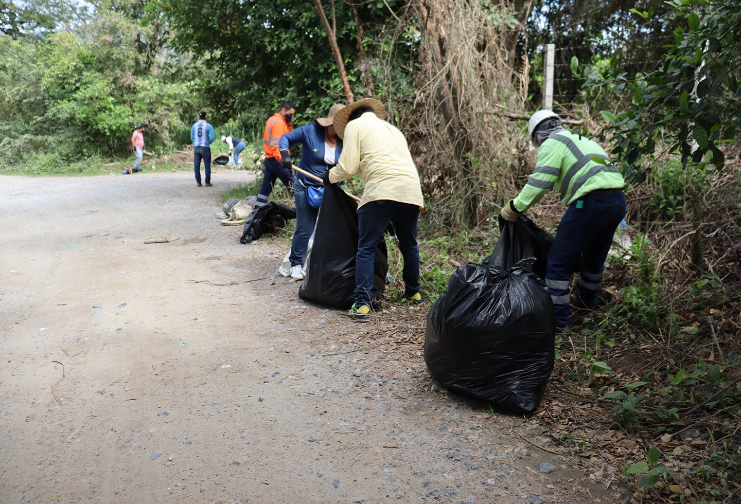 Voluntariado de limpieza y recolección de residuos