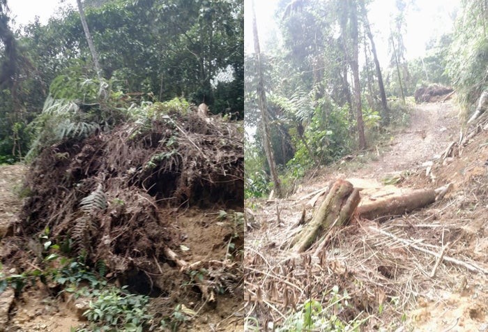 Fallas en la movilidad en San Juan de La China y China Alta en Ibagué