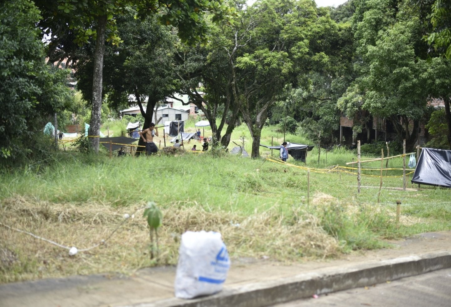 ¡Ojo! Inescrupulosos estafan con falsas promesas de vivienda en lotes públicos y privados en Ibagué