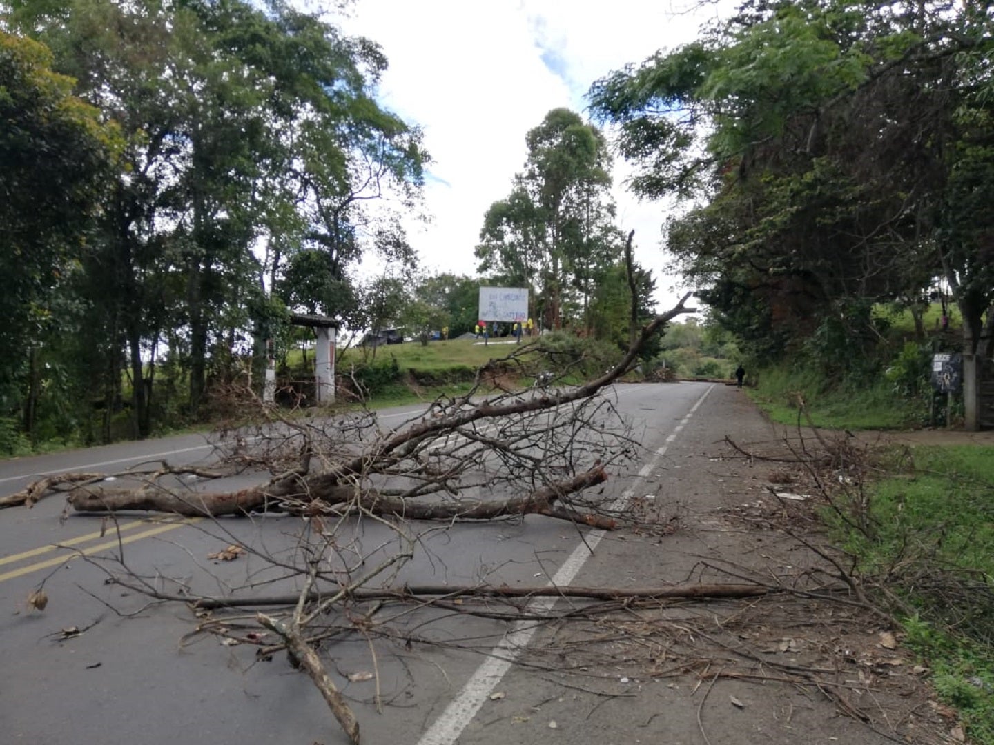 Vía panamericana Cauca