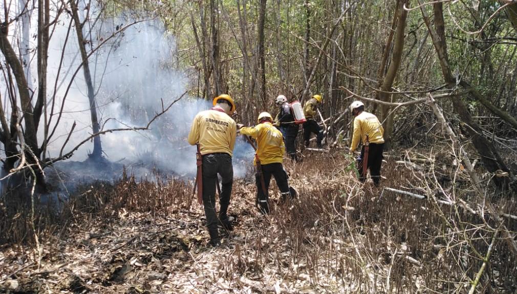 Operativo de extinción de incendio forestal