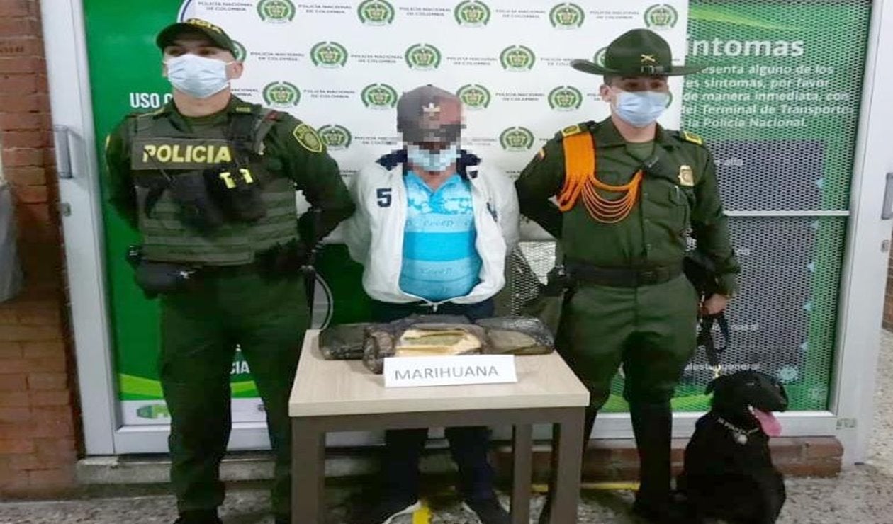 Pasajero fue olfateado por Osaka en la Terminal de Ibagué y le dañó el viaje a Bogotá