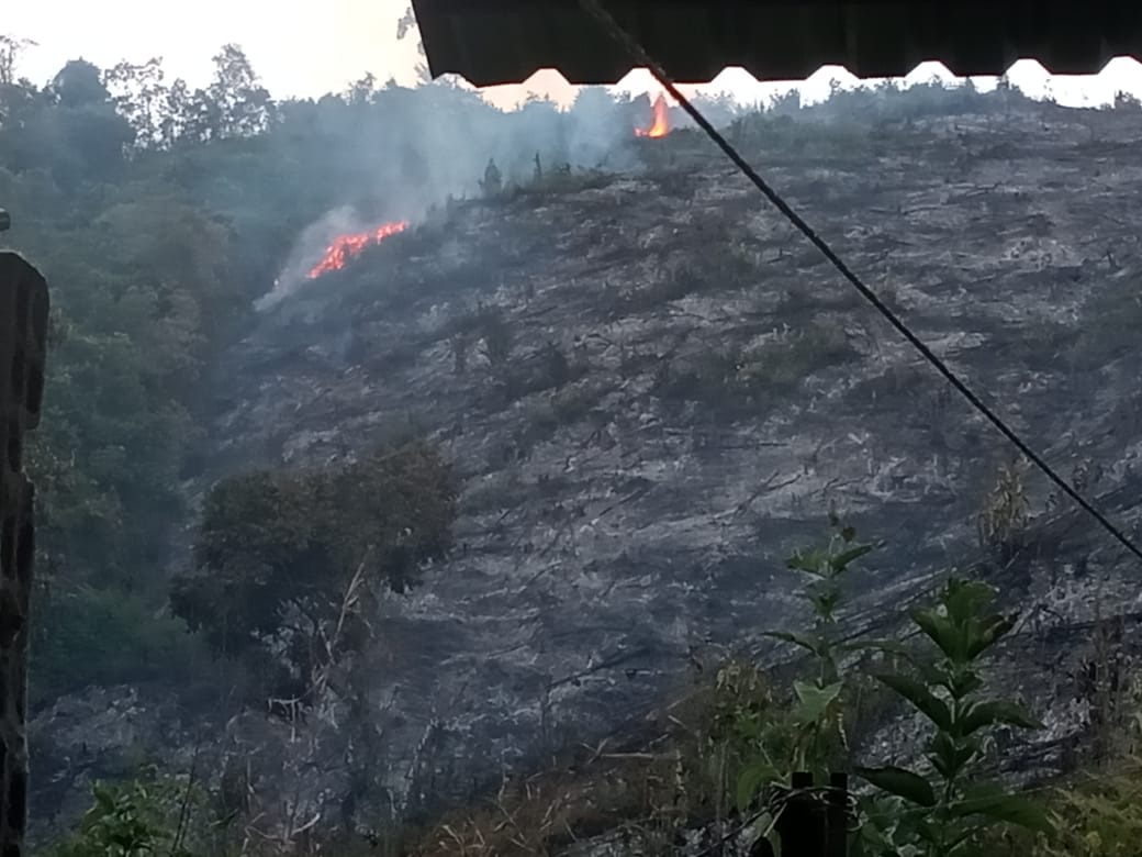 incendios forestales totumo Ibagué