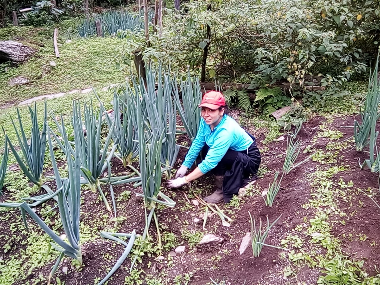 ‘Produce sano, cultiva vida’,