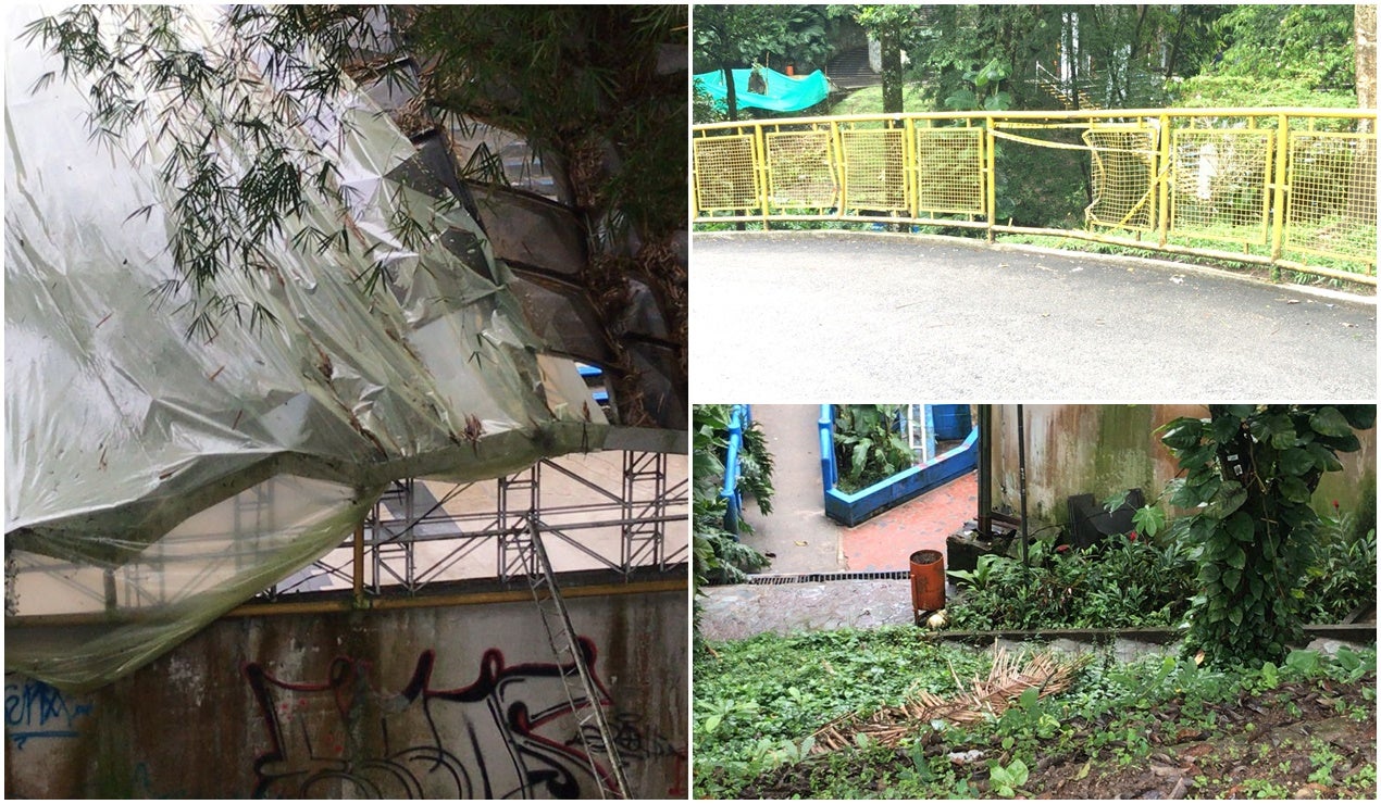 parque centenario en mal estado