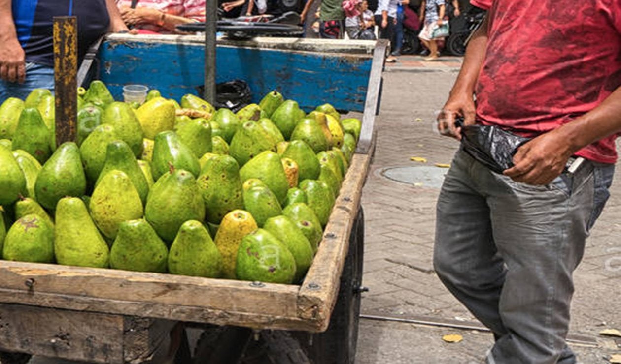 ¡Que liso! Vendedor de aguacates se robó un bolso con portátil de Metaima 2 en Ibagué