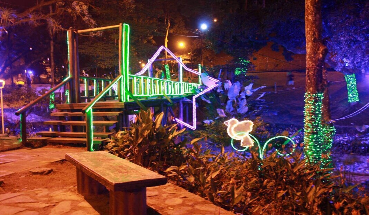 Alumbrado Navideño Ibagué imagen de referencia