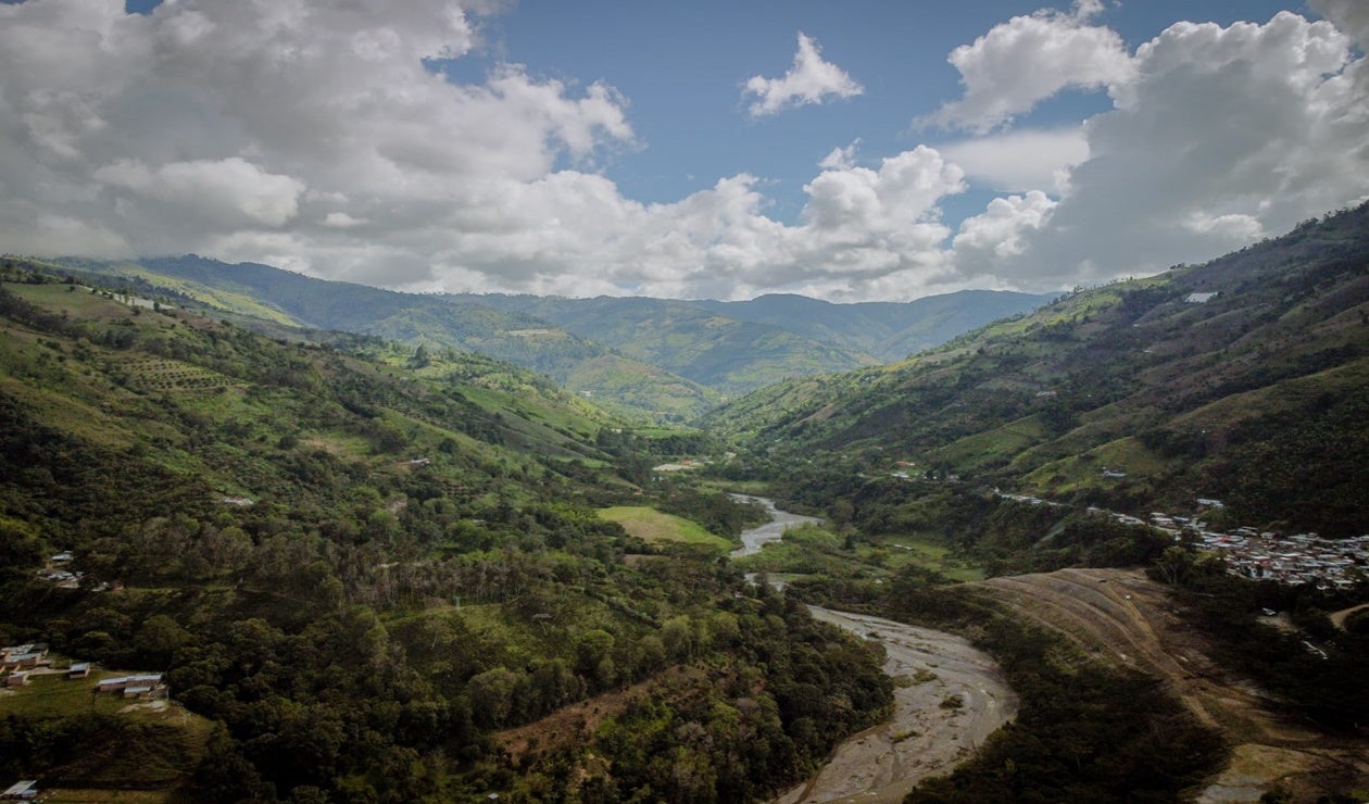 Cajamarca Palma de Cera