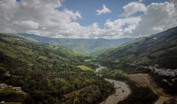 Cajamarca Palma de Cera
