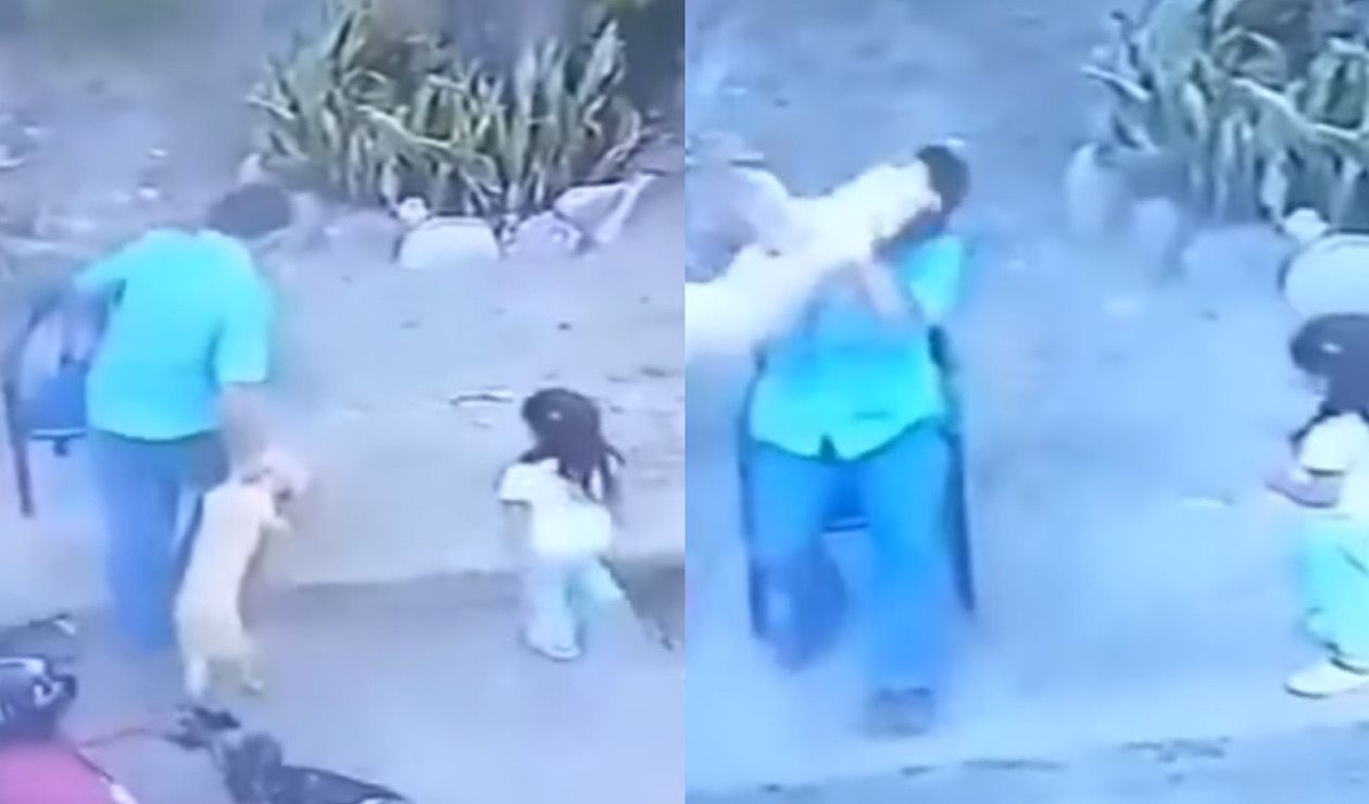 Hombre maltrata a un Perrito