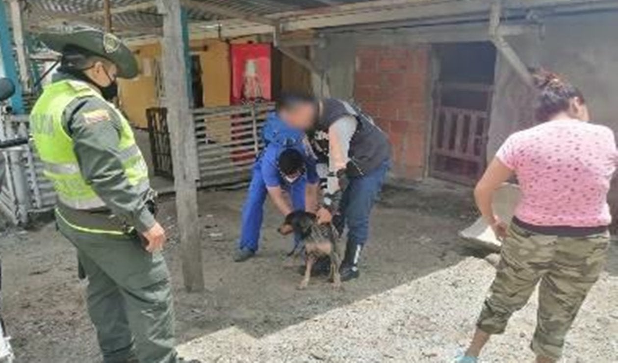Judicializaron a un hombre que maltrataba y mantenía en pésimas condiciones a perros en Ibagué