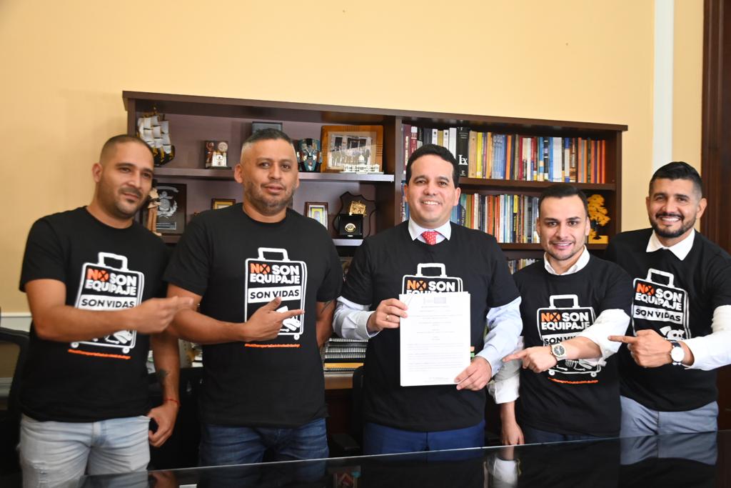 Proyecto mascotas aviones