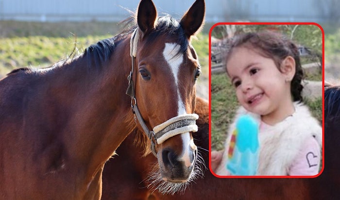 Niña de 3 años falleció por la patada de un equino en Huila