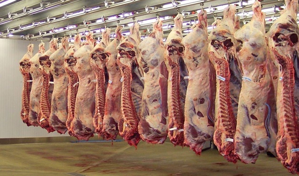 Planta de beneficio animal