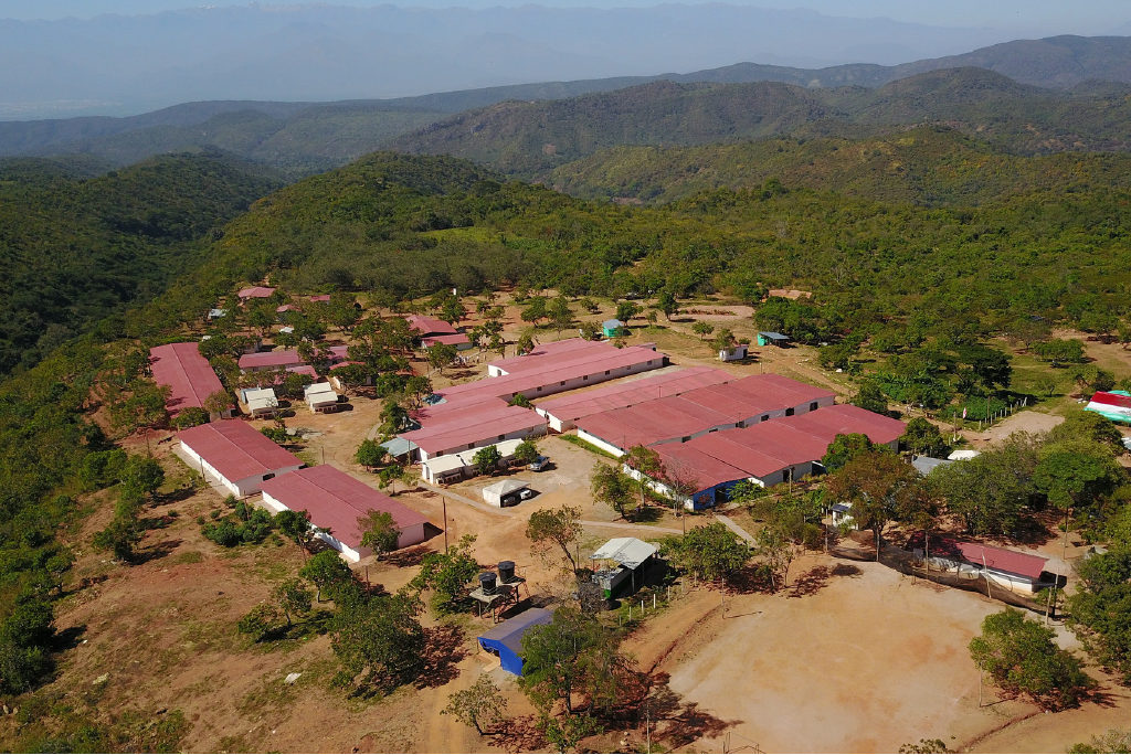 Meta, Reincorporación, violencia, desplazamiento, ETCR