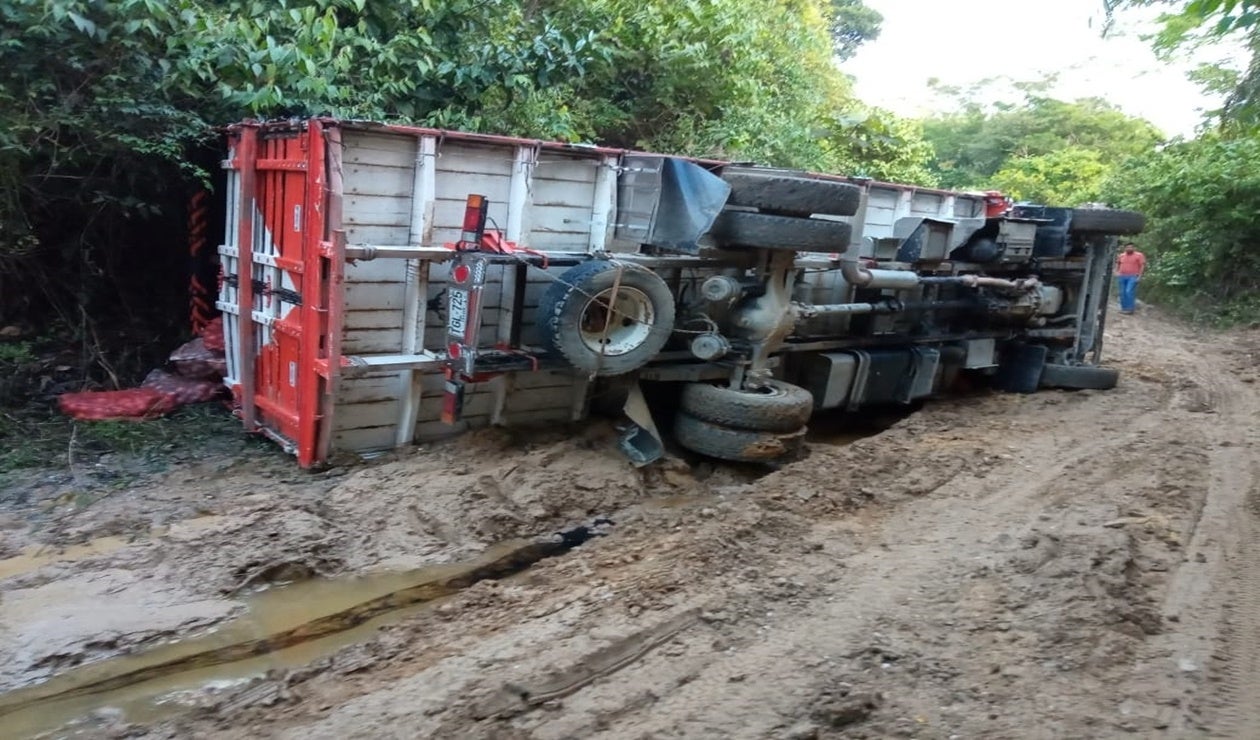 Vehículo transporte de tomate de árbol