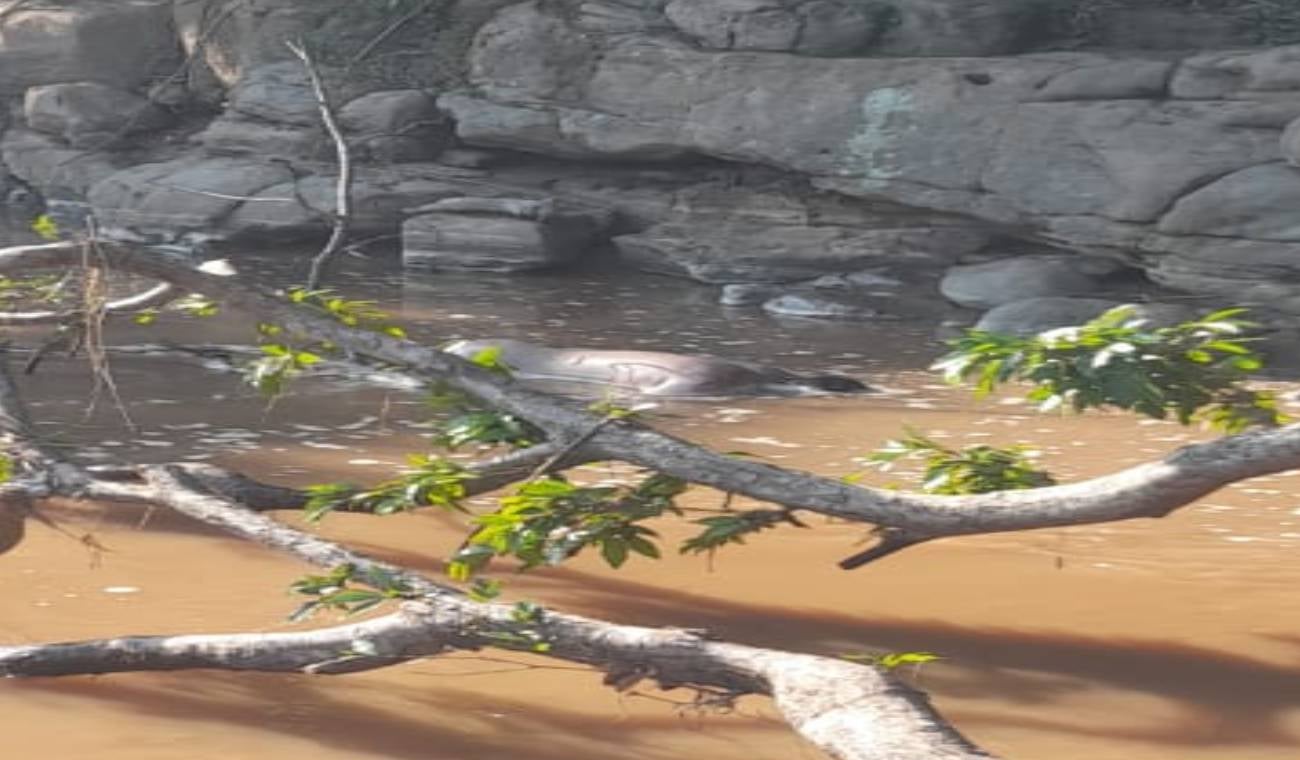 Fallecido por inmersión en el Río Sumapaz