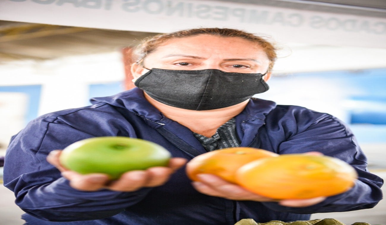 Feria Multiservicios Ibagué, Secretaría de Agricultu