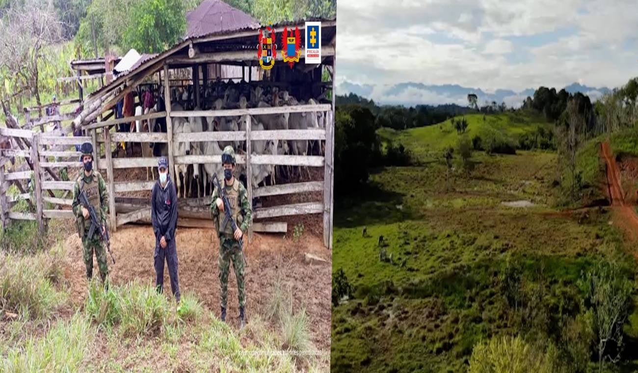 Extinción de dominio