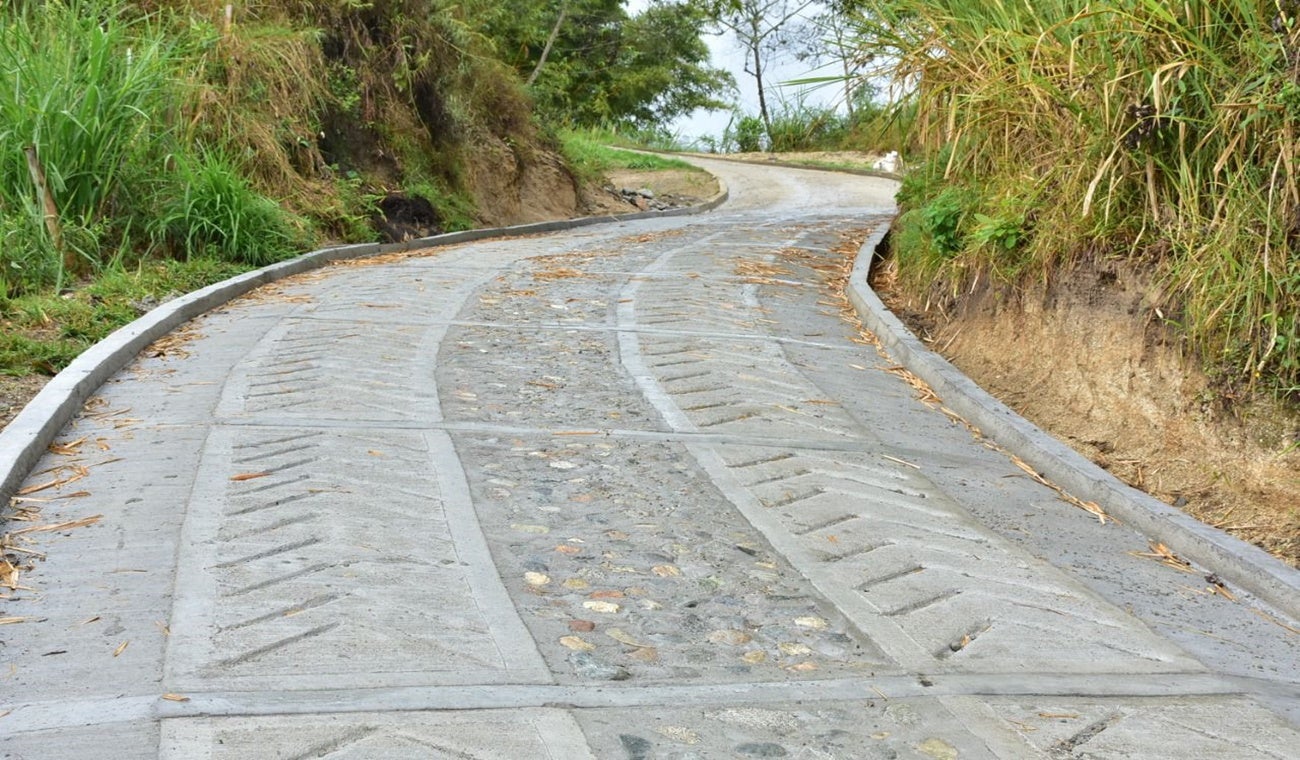 Placas huellas Ibagué