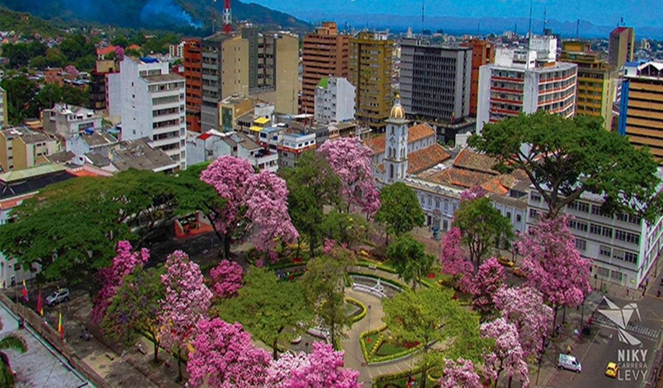 Panorámica de Ibagué florecida de Ocobos