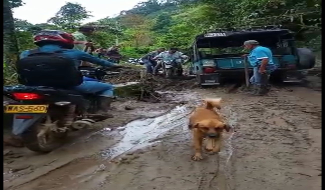 Vía colapsada vereda La Flor