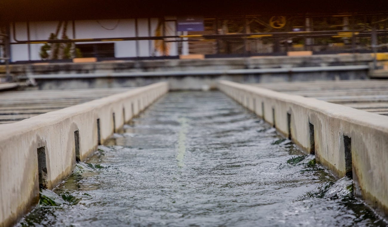 Empresa Ibaguereña de Acueducto y Alcantarillado Ibal