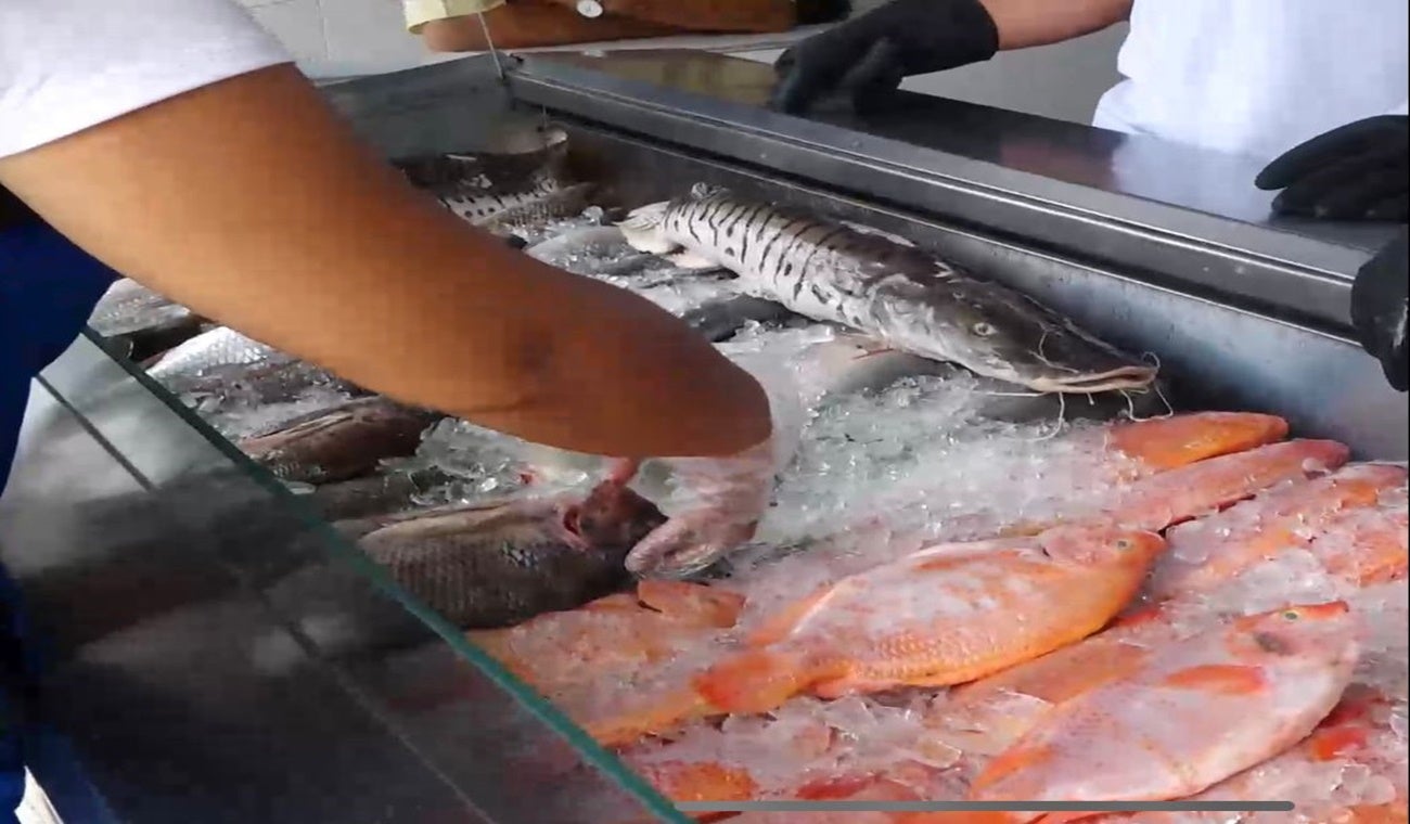 Venta de pescado en Ibagué