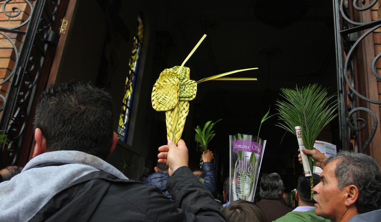 Ramos Semana Santa