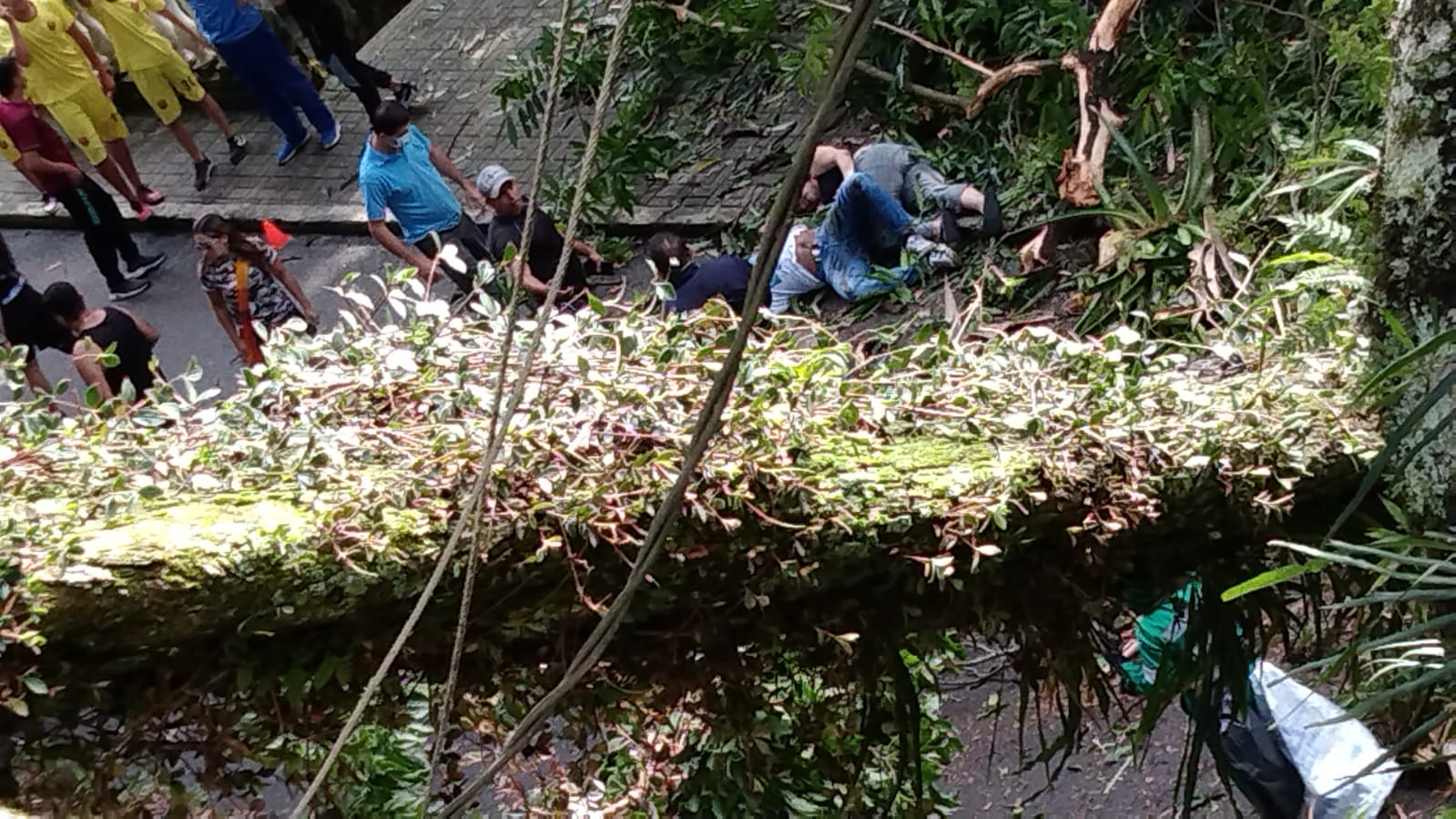 Emergencia en el Parque Centenario