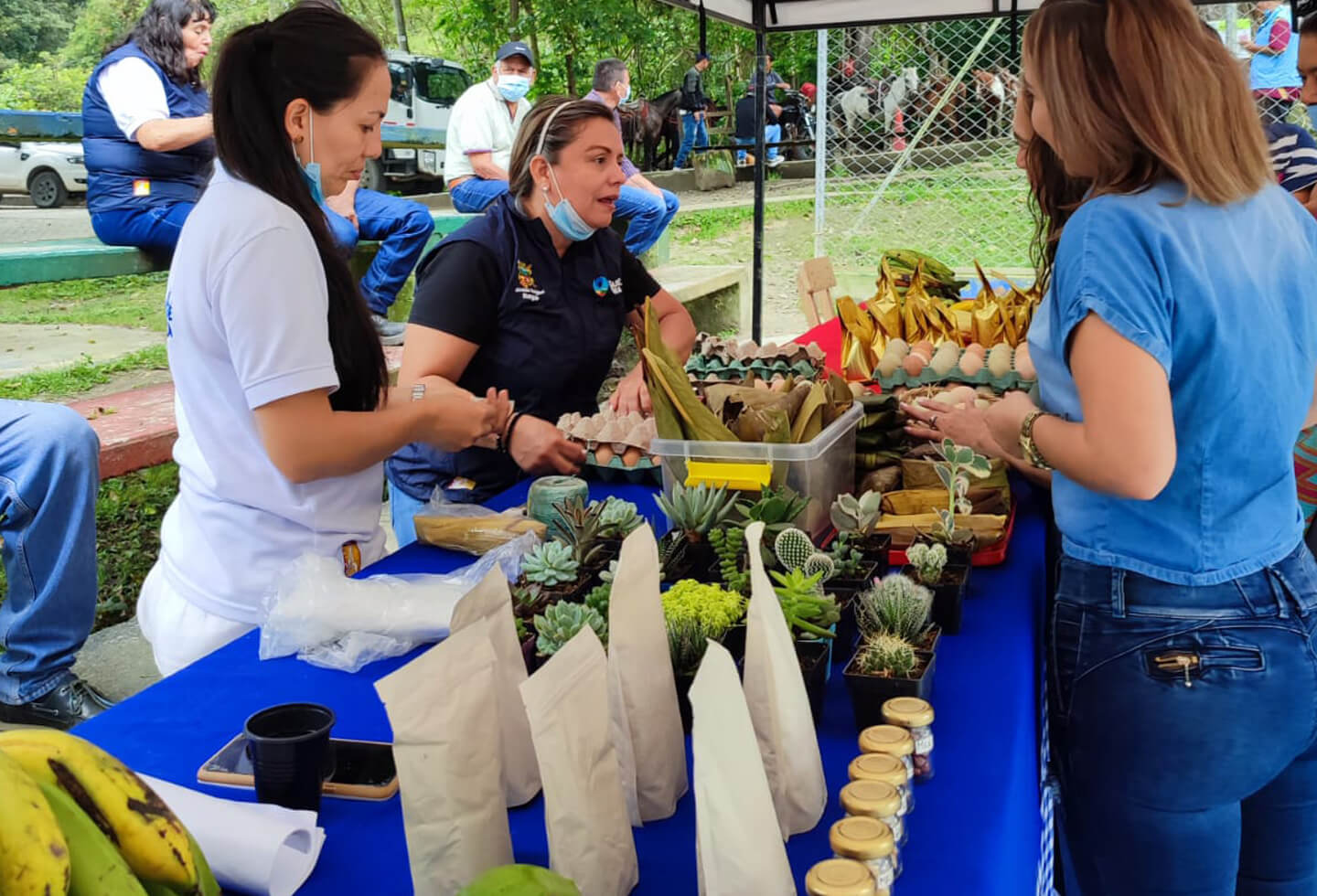 Mercados campesinos en Tolima