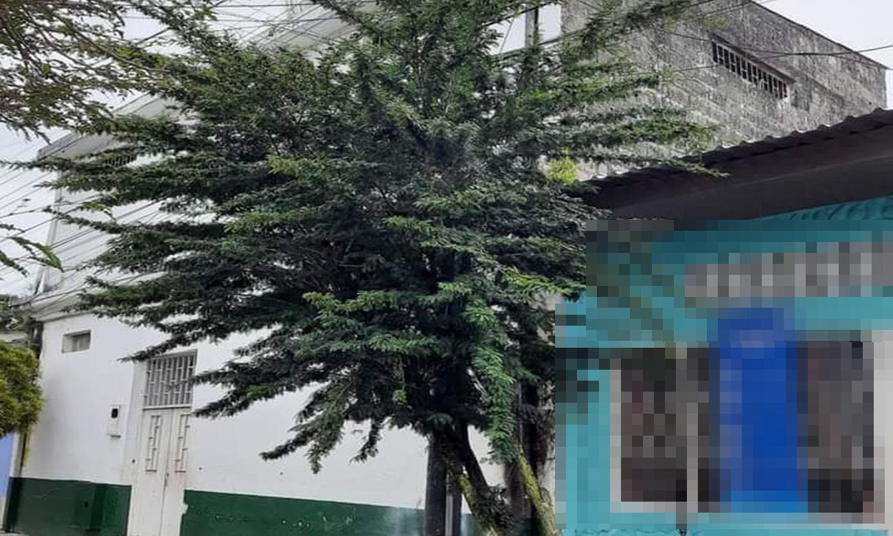 ¡De película! Se volaron tres delincuentes de la carceleta de San Sebastián de Mariquita