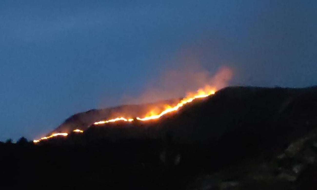 Incendio forestal Suarez