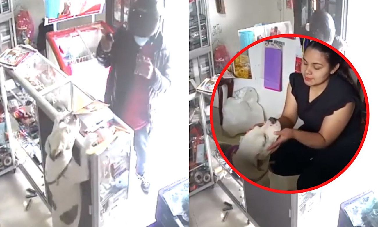 Perrita Salva a Dueña de Atraco