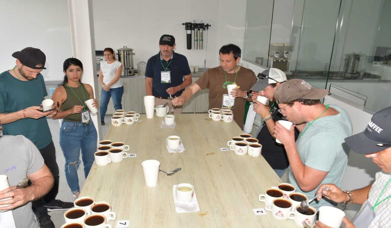 Café tolimense- catadores